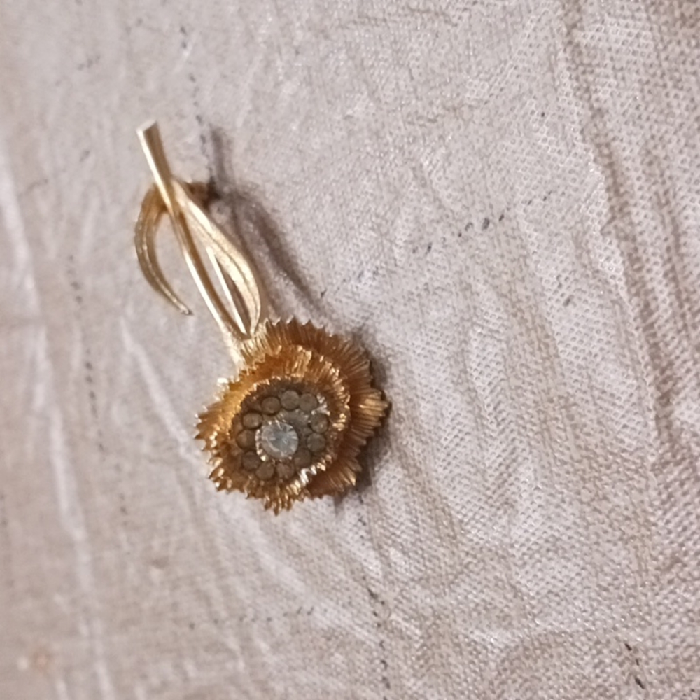 Brooch